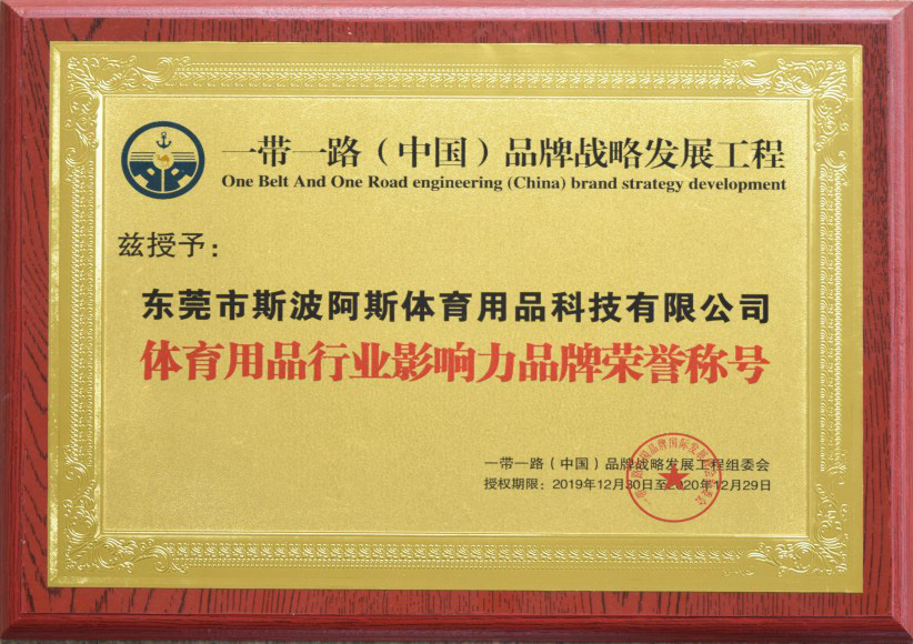 Projekt zur Entwicklung der Markenstrategie für den Gürtel und die Straße (China) Einflussreiche Marken in der Sportartikelbranche