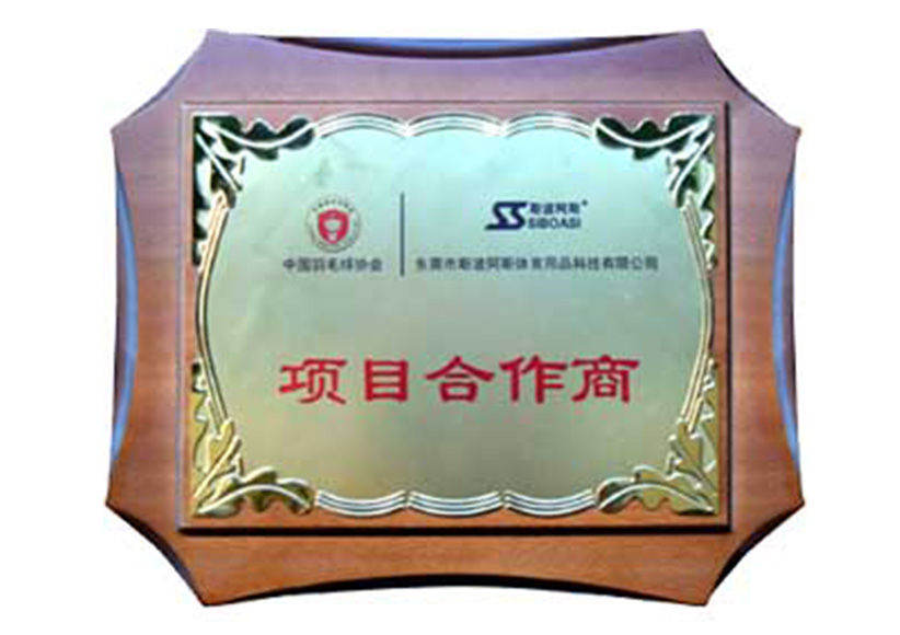 China Badminton Association Serving Intelligent Equipment Designated Supplier