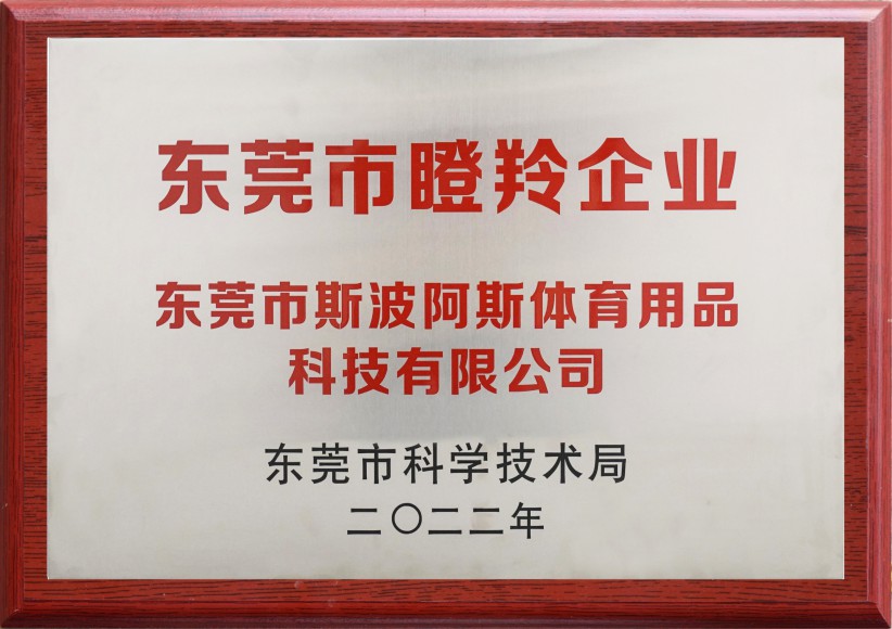 Dongguan Gazelle Unternehmen