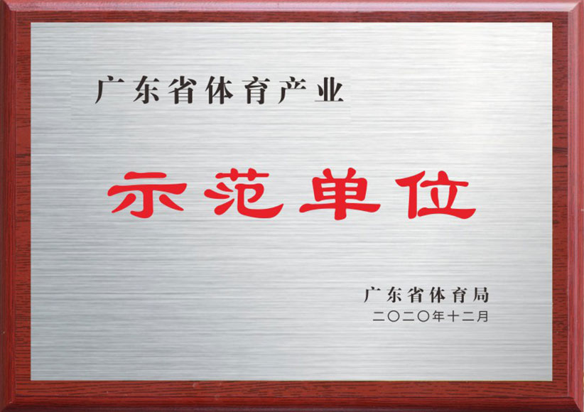 Demonstrationseinheit für die Sportindustrie in der Provinz Guangdong